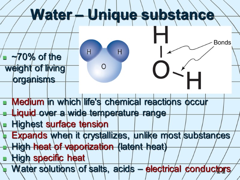 11 Water – Unique substance ~70% of the   weight of living 